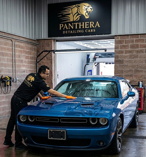 Express Wash Panthera
